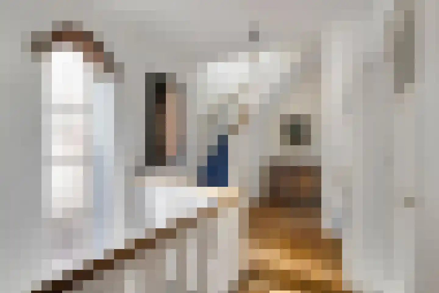 Vijverlaan 24 Rotterdam thumbnail 32