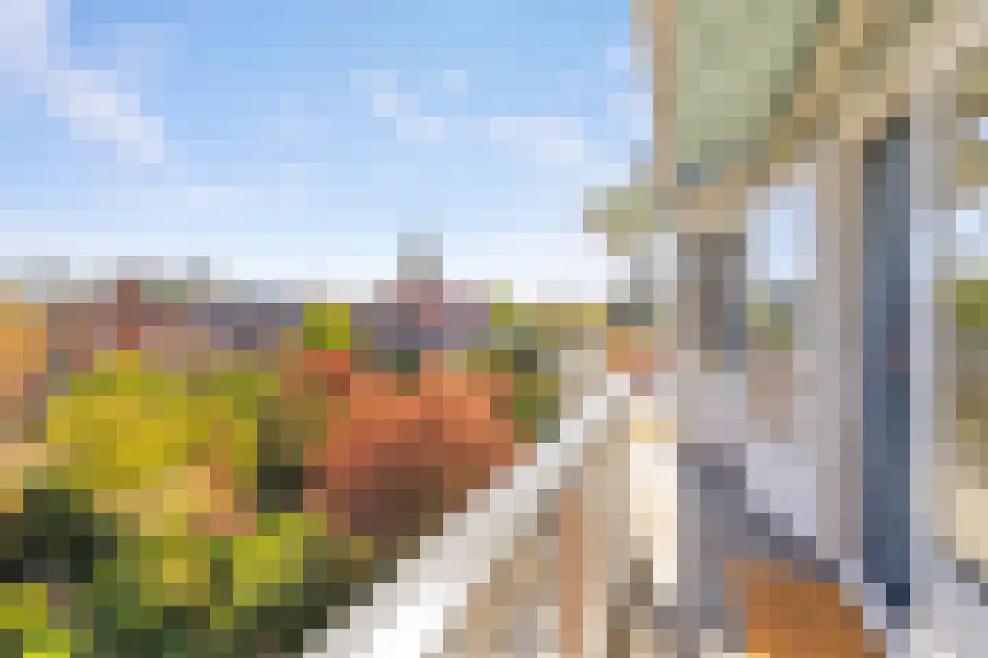Vijverlaan 24 Rotterdam thumbnail 35