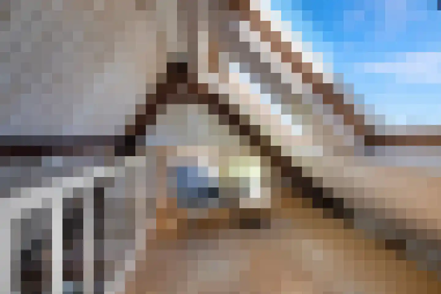 Vijverlaan 24 Rotterdam thumbnail 44