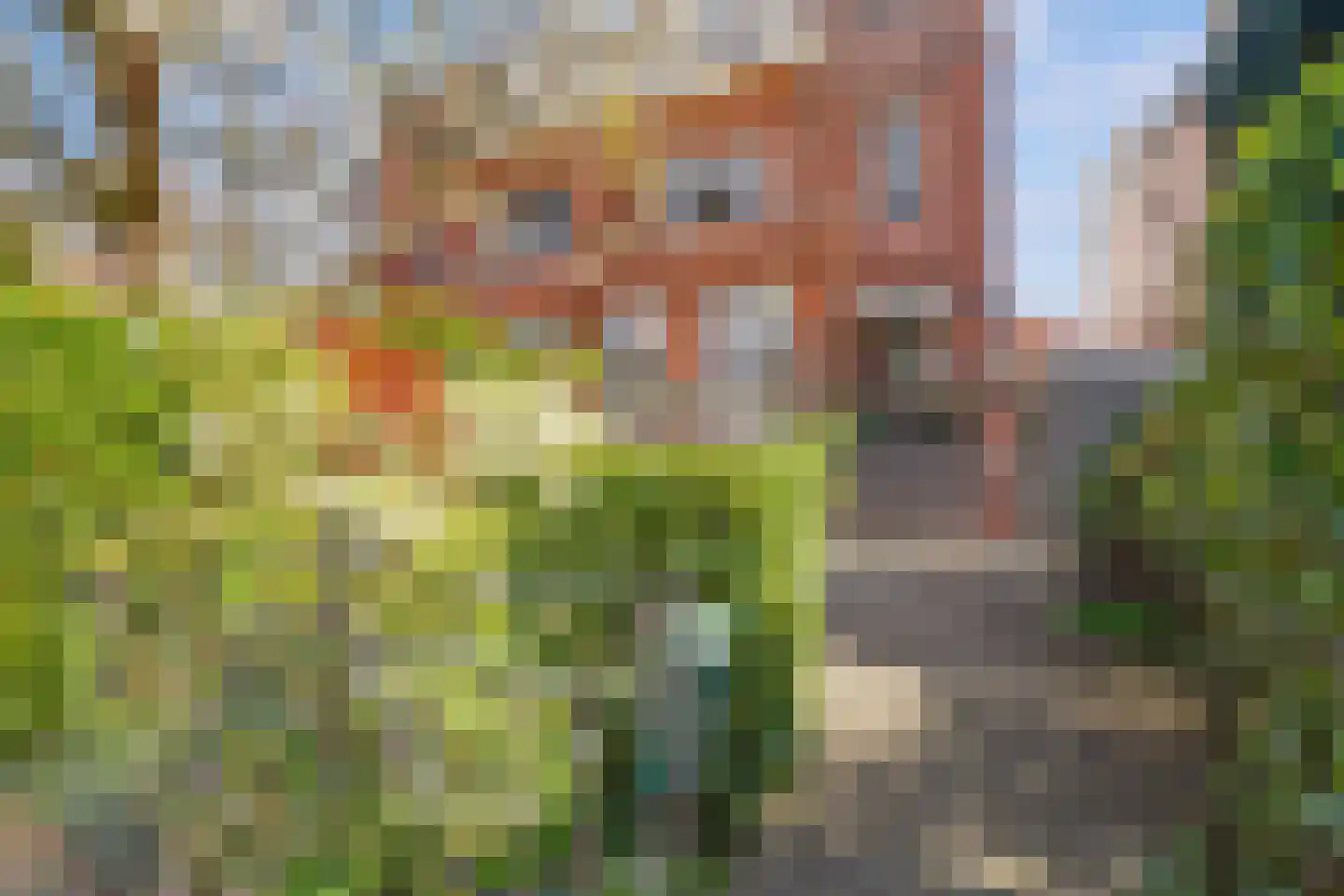 Vijverlaan 24 Rotterdam thumbnail 5