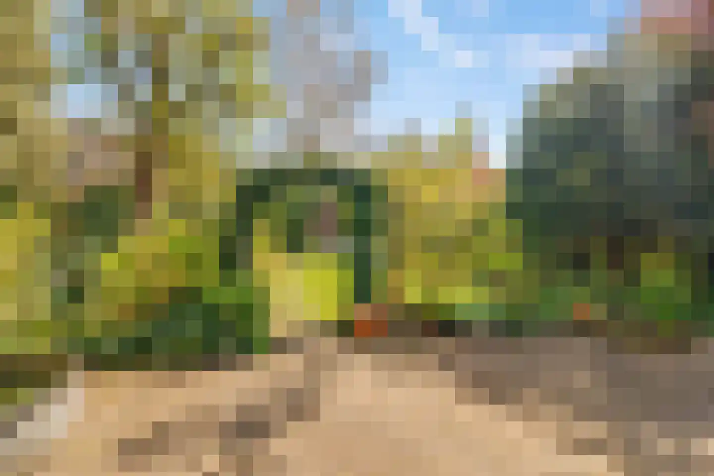 Vijverlaan 24 Rotterdam thumbnail 56