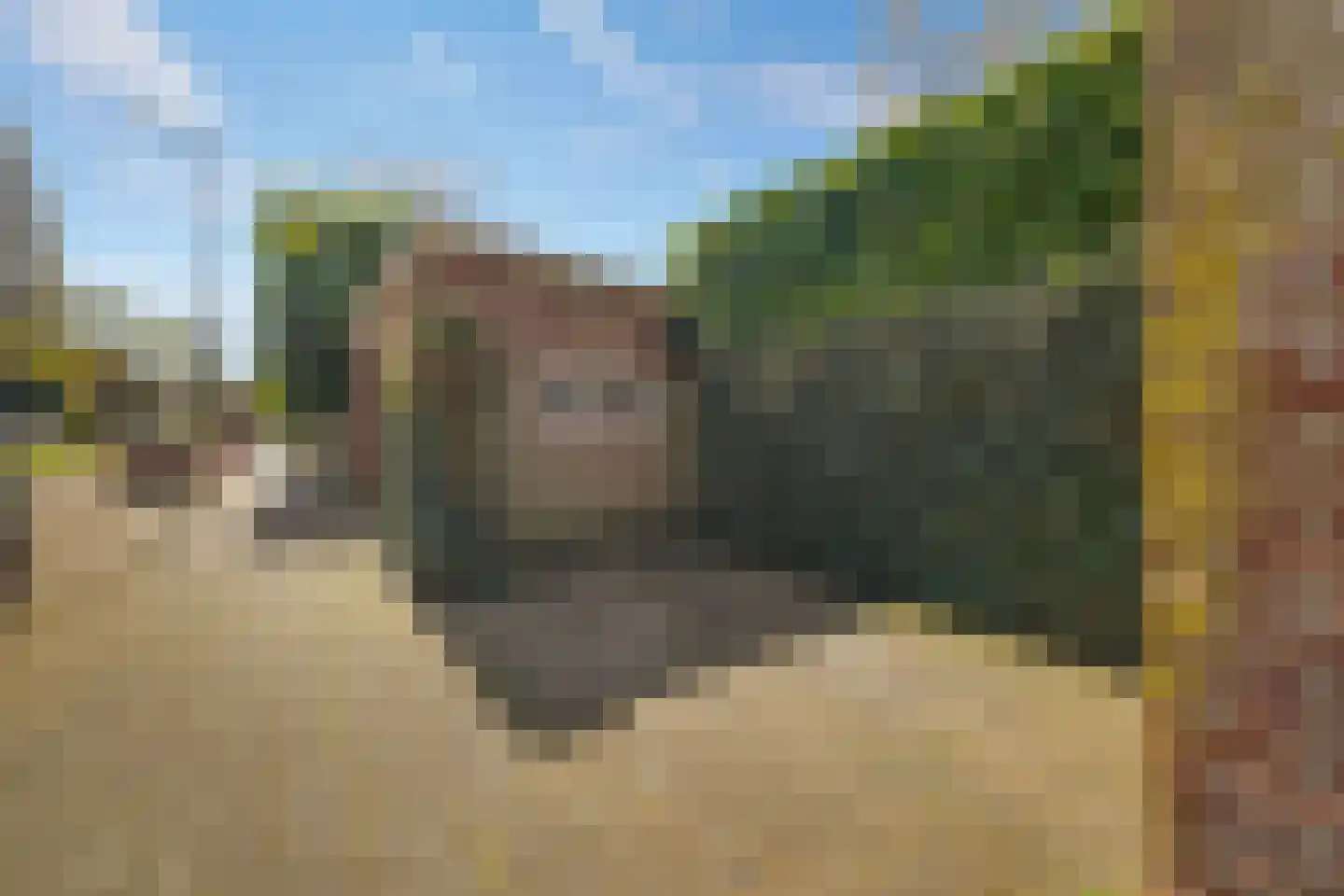 Vijverlaan 24 Rotterdam thumbnail 61