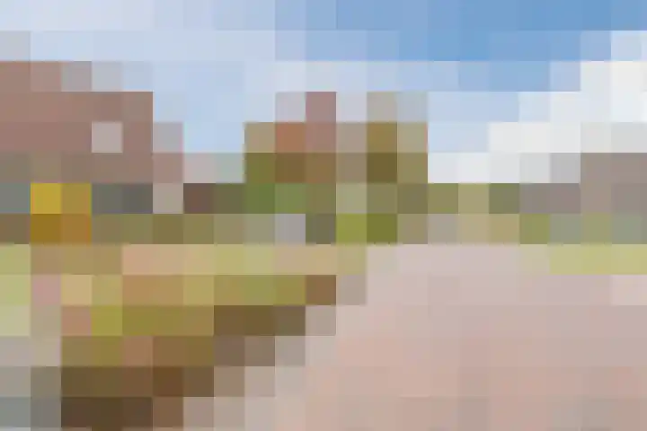 Vijverlaan 27 Uffelte thumbnail 26