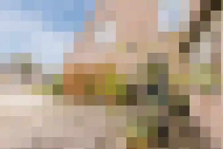Vijverlaan 27 Uffelte thumbnail 28