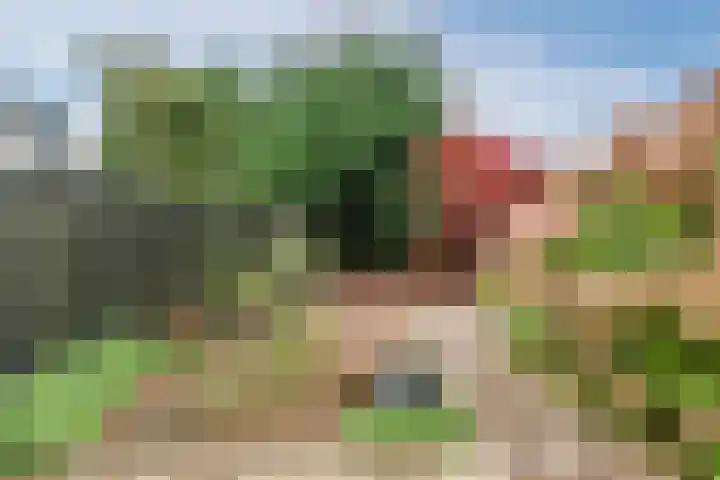 Vijverlaan 27 Uffelte foto 3