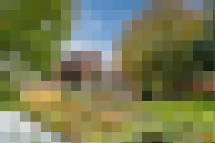 Vijverlaan 27 Uffelte thumbnail 30