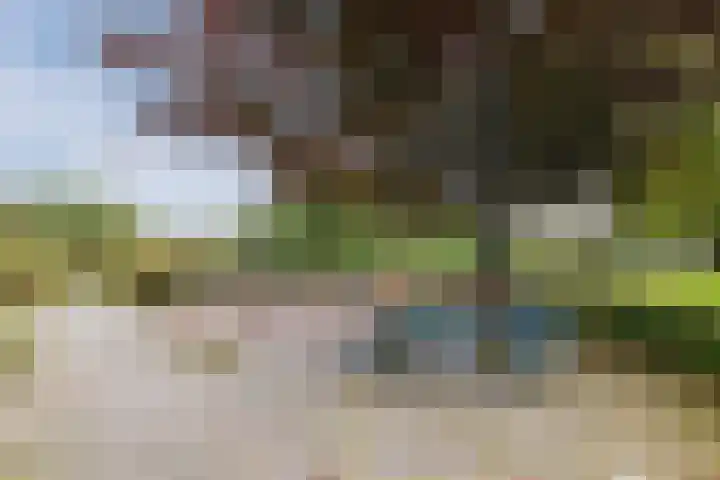 Vijverlaan 27 Uffelte thumbnail 32