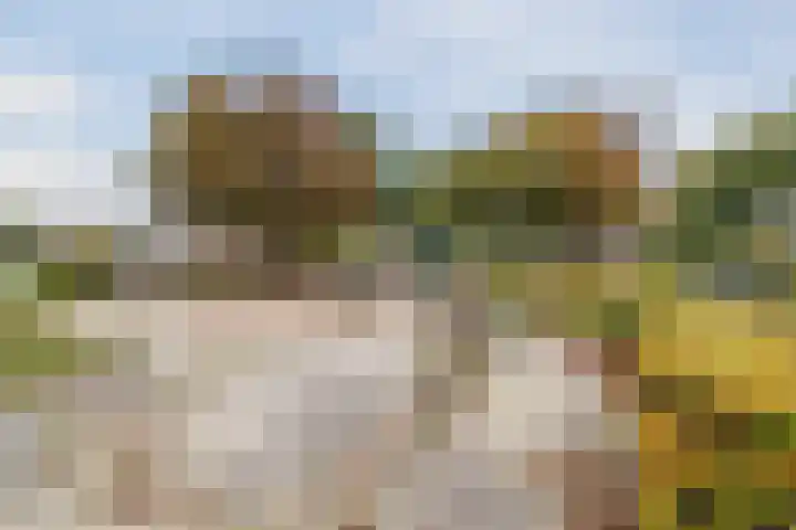 Vijverlaan 27 Uffelte thumbnail 33