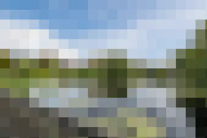 Vijverlaan 27 Uffelte thumbnail 34