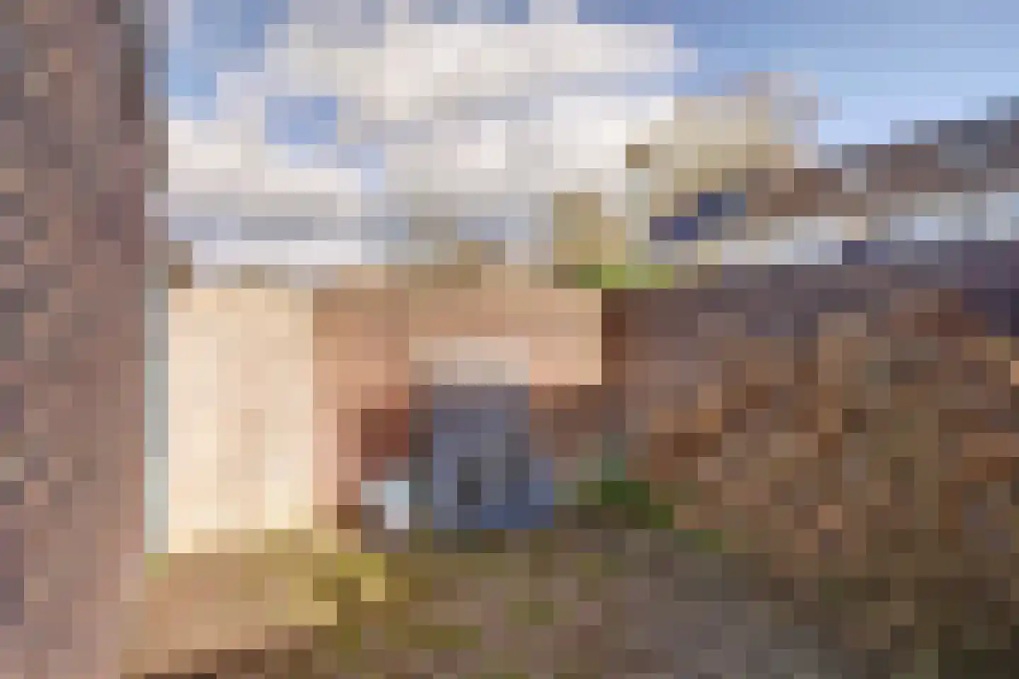 Vijverlaan 29 Leersum thumbnail 38