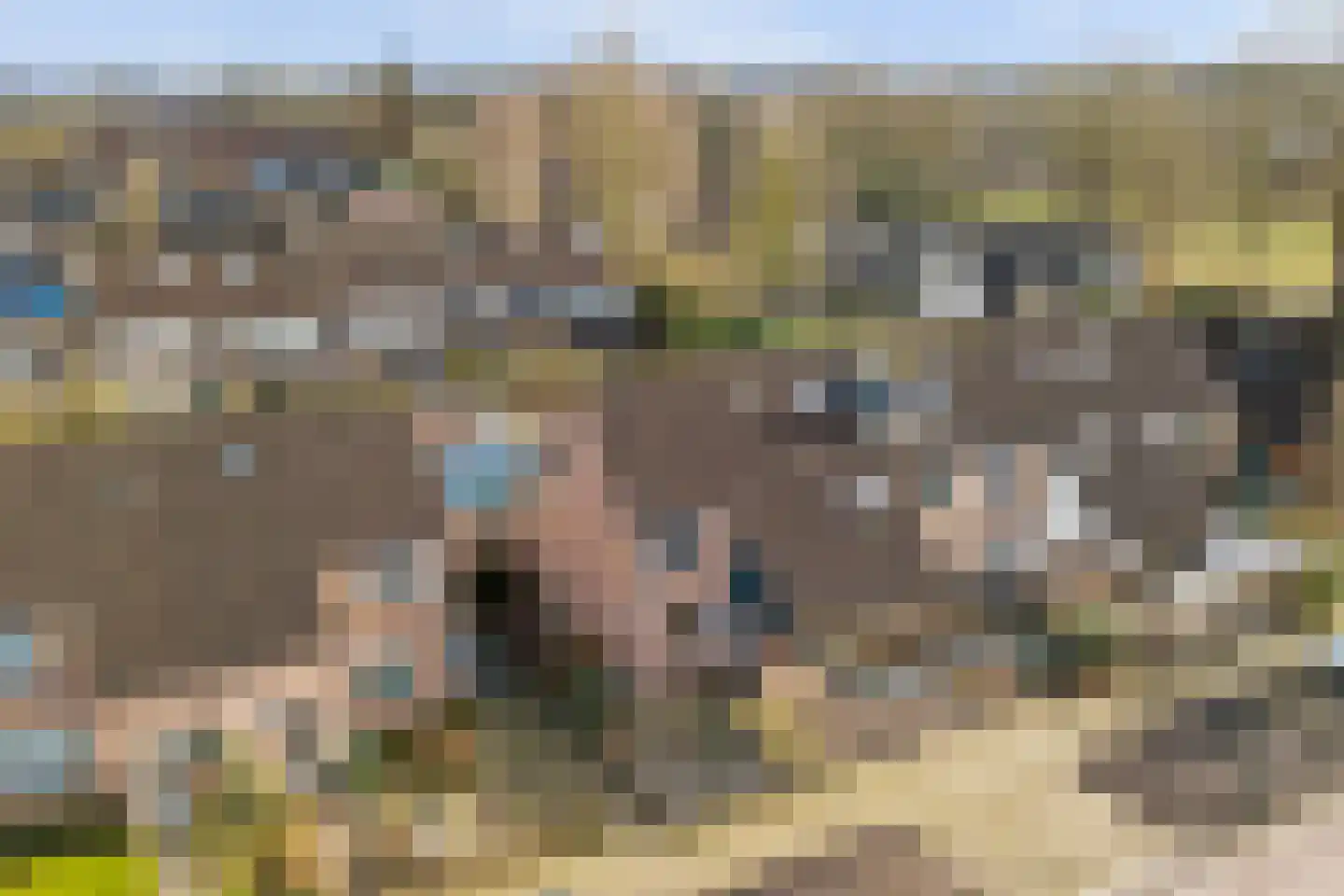 Vijverlaan 29 Leersum thumbnail 39