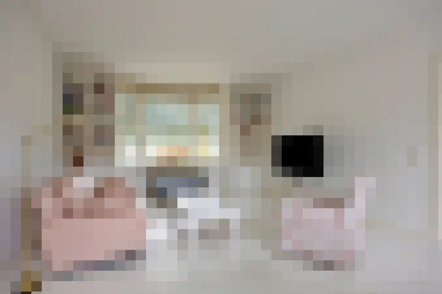 Vijverlaan 3 Hengelo thumbnail 13