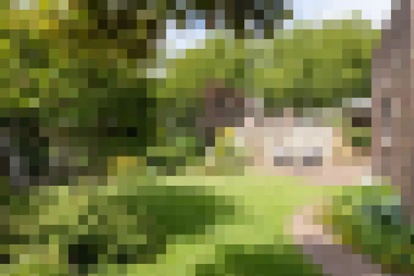 Vijverlaan 3 Hengelo thumbnail 40