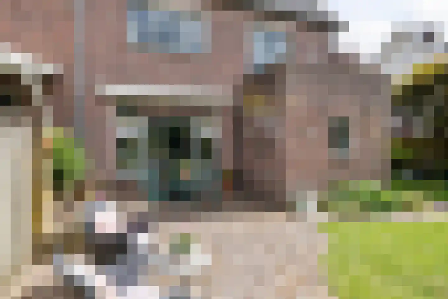 Vijverlaan 3 Hengelo thumbnail 41