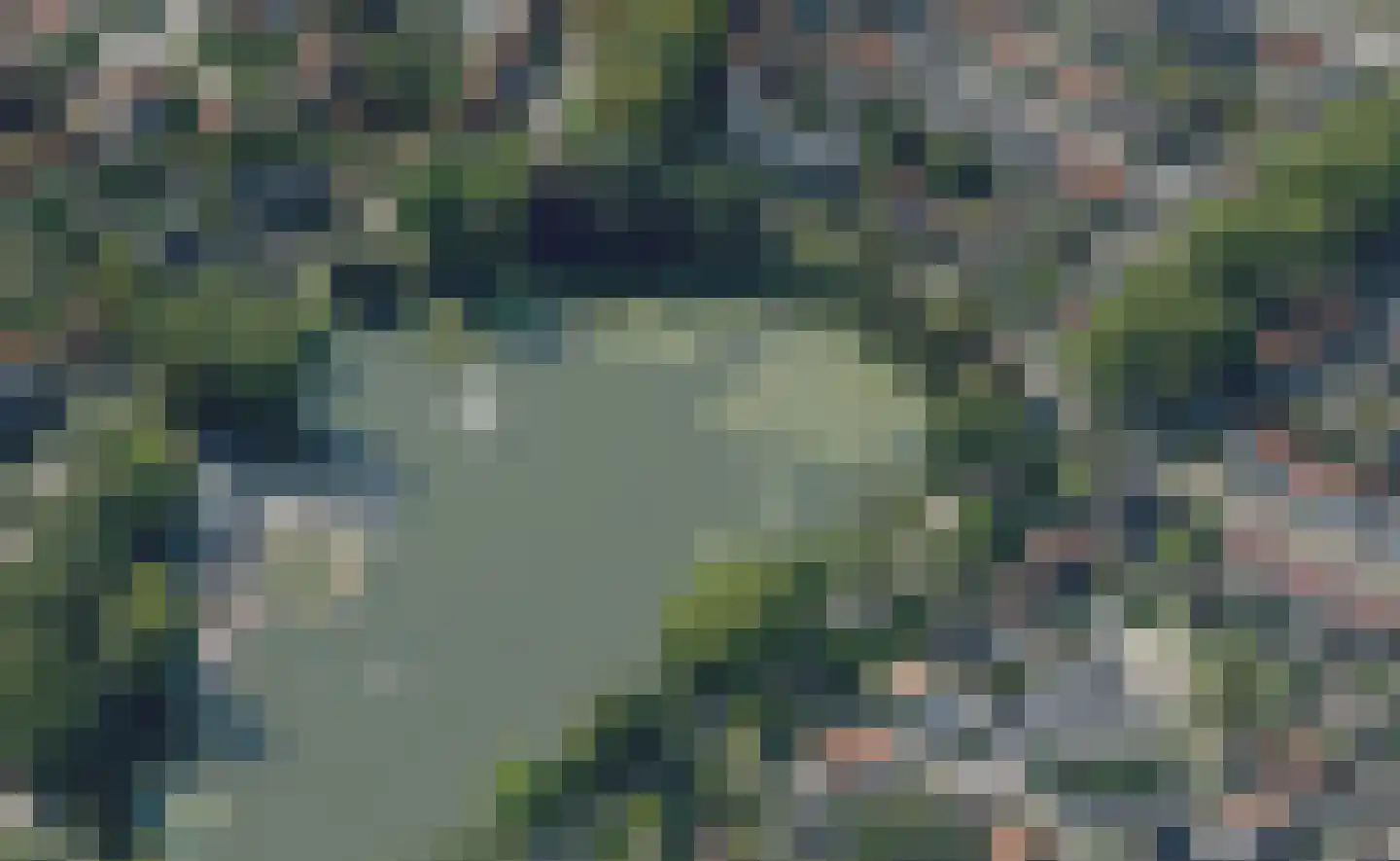 Vijverlaan 3 Hengelo thumbnail 48