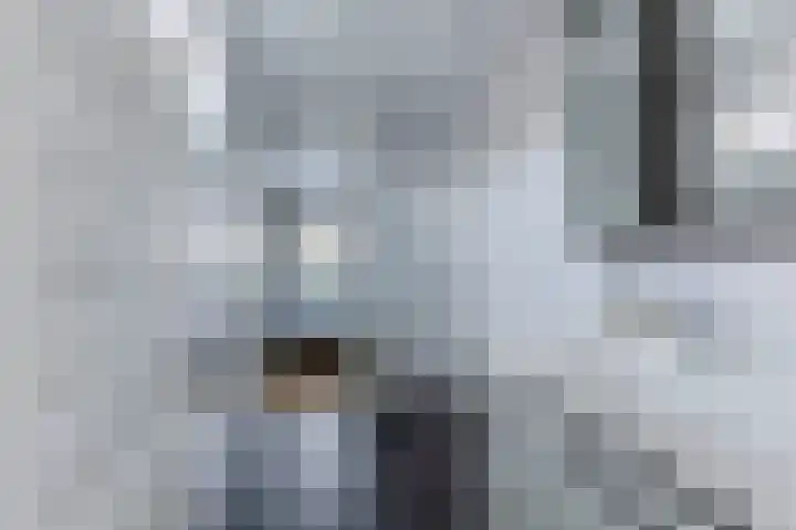 Vijverlaan 30 Heiloo thumbnail 12