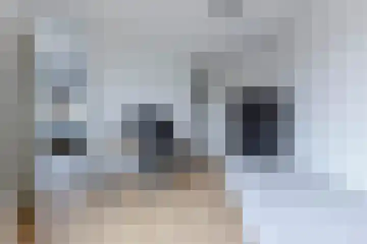 Vijverlaan 30 Heiloo thumbnail 15