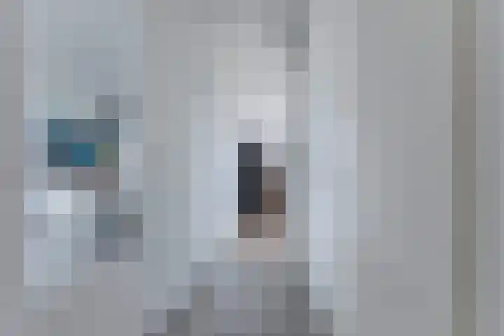 Vijverlaan 30 Heiloo thumbnail 17