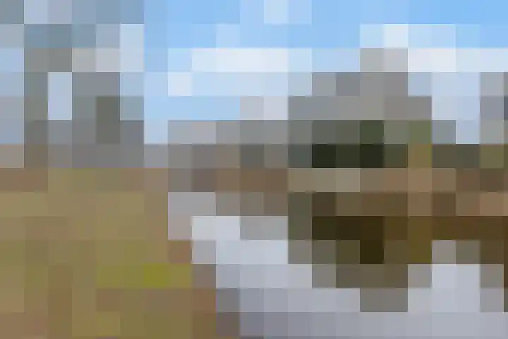 Vijverlaan 30 Heiloo thumbnail 29