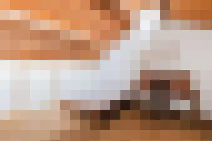 Vijverlaan 35 Vreeland thumbnail 22