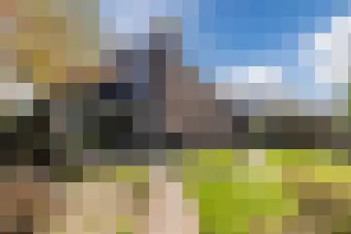 Vijverlaan 35 Vreeland thumbnail 25