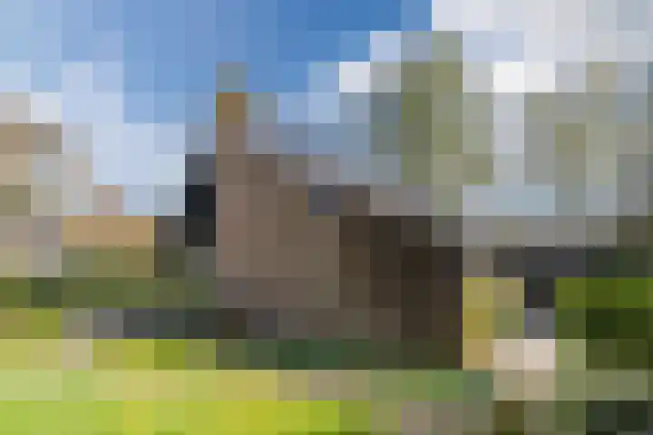 Vijverlaan 35 Vreeland thumbnail 26