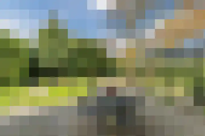Vijverlaan 35 Vreeland thumbnail 28