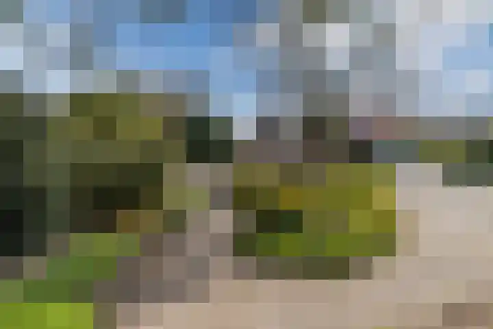 Vijverlaan 35 Vreeland thumbnail 32