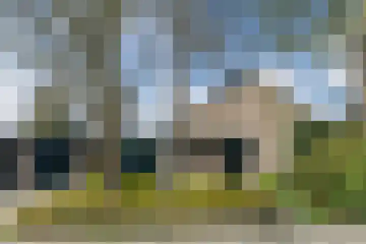 Vijverlaan 35 Vreeland thumbnail 5