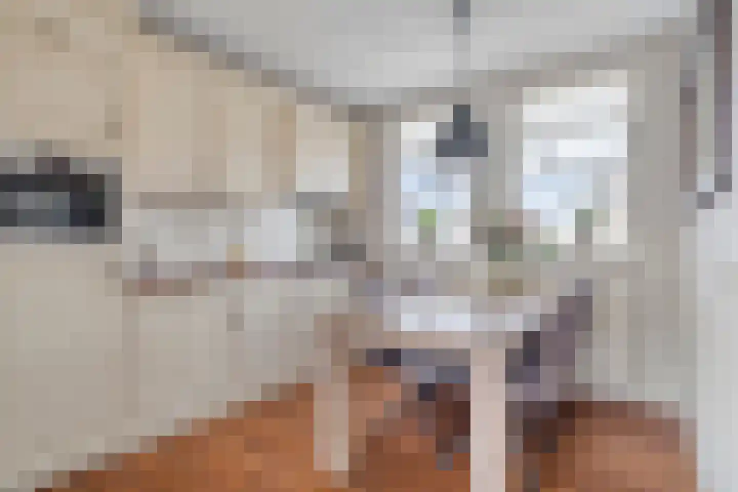 Vijverlaan 36 Meeden thumbnail 15