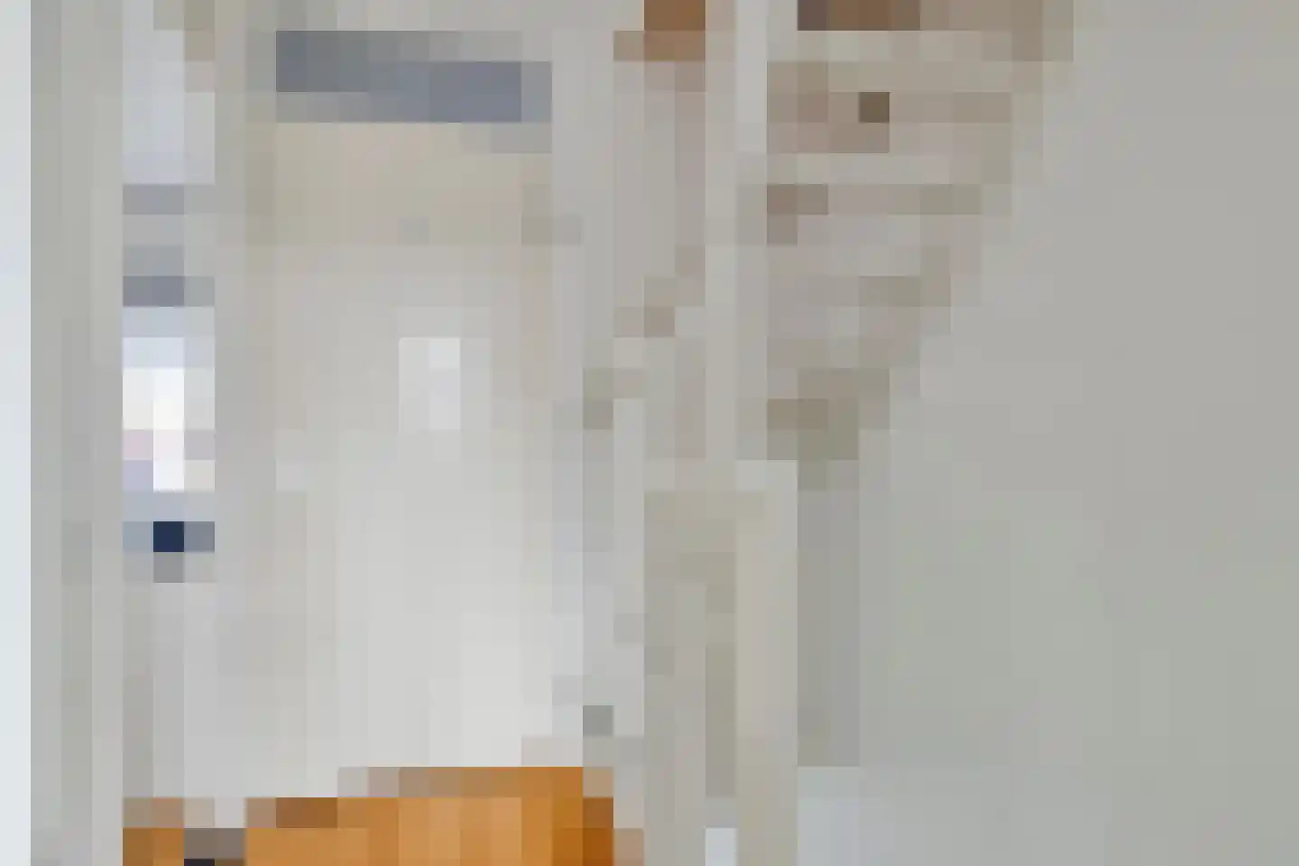 Vijverlaan 36 Meeden thumbnail 19