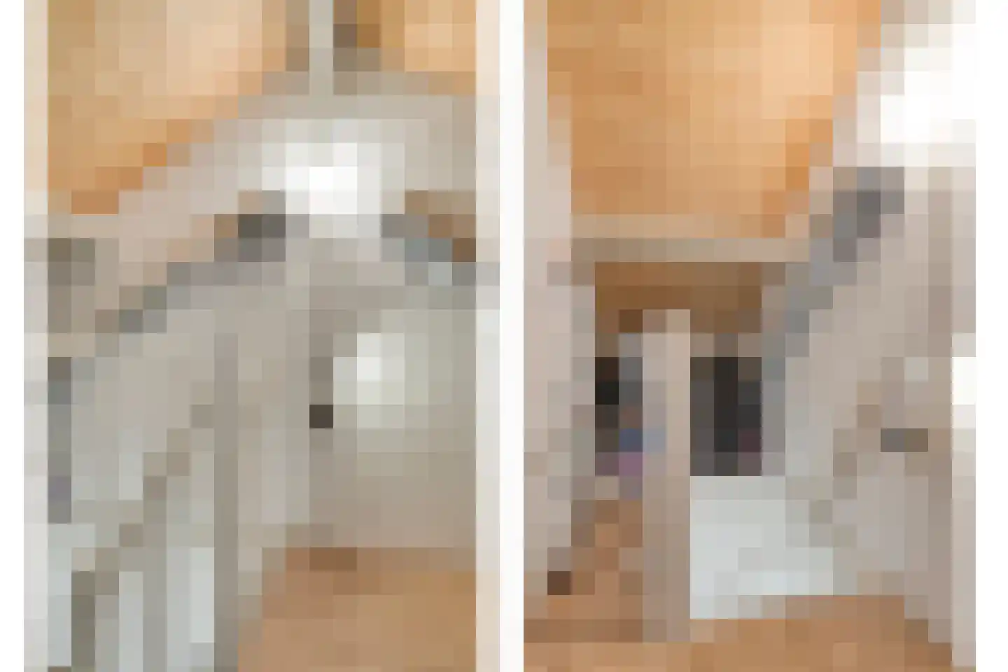 Vijverlaan 36 Meeden thumbnail 27