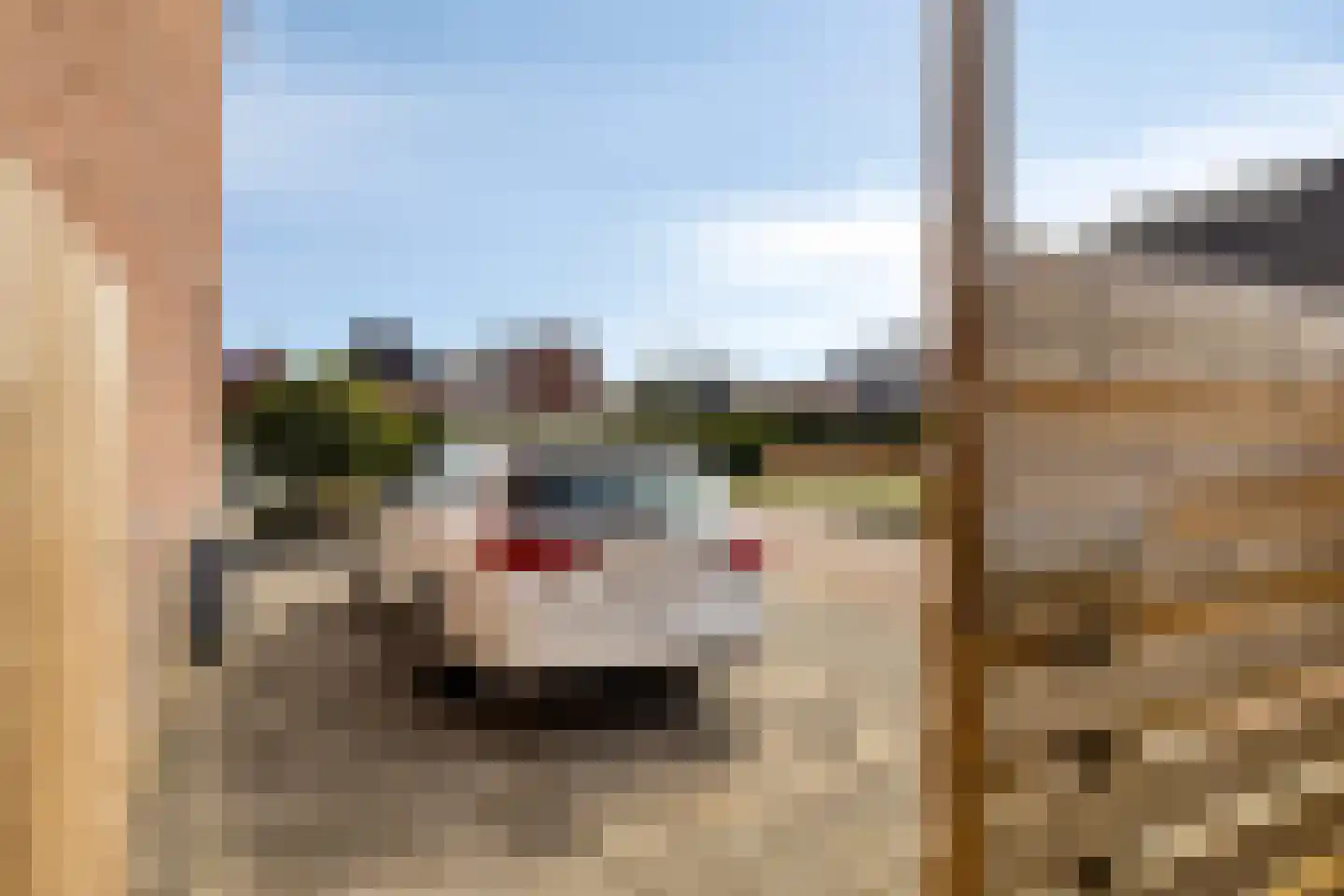 Vijverlaan 36 Meeden thumbnail 38