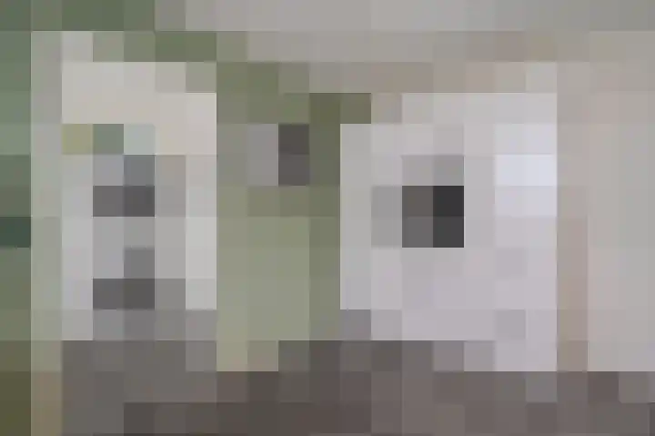 Vijverlaan 37 Meeden thumbnail 15