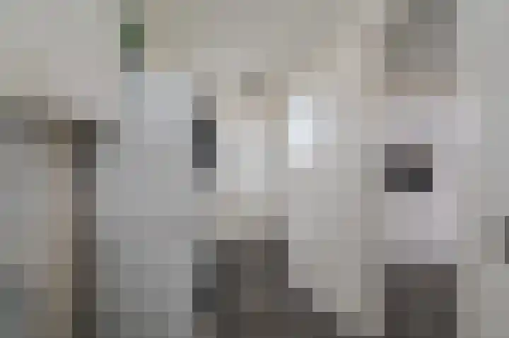 Vijverlaan 37 Meeden thumbnail 17