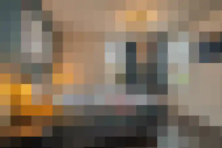 Vijverlaan 37 Meeden thumbnail 18