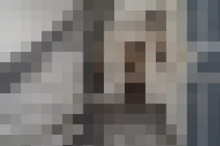 Vijverlaan 37 Meeden thumbnail 4