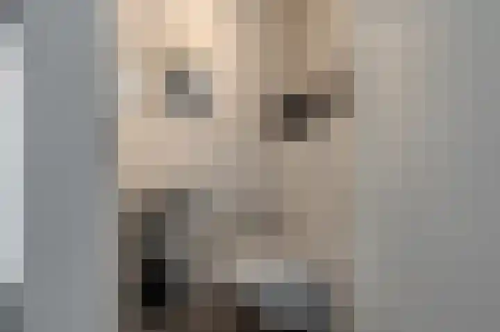 Vijverlaan 37 Meeden thumbnail 6