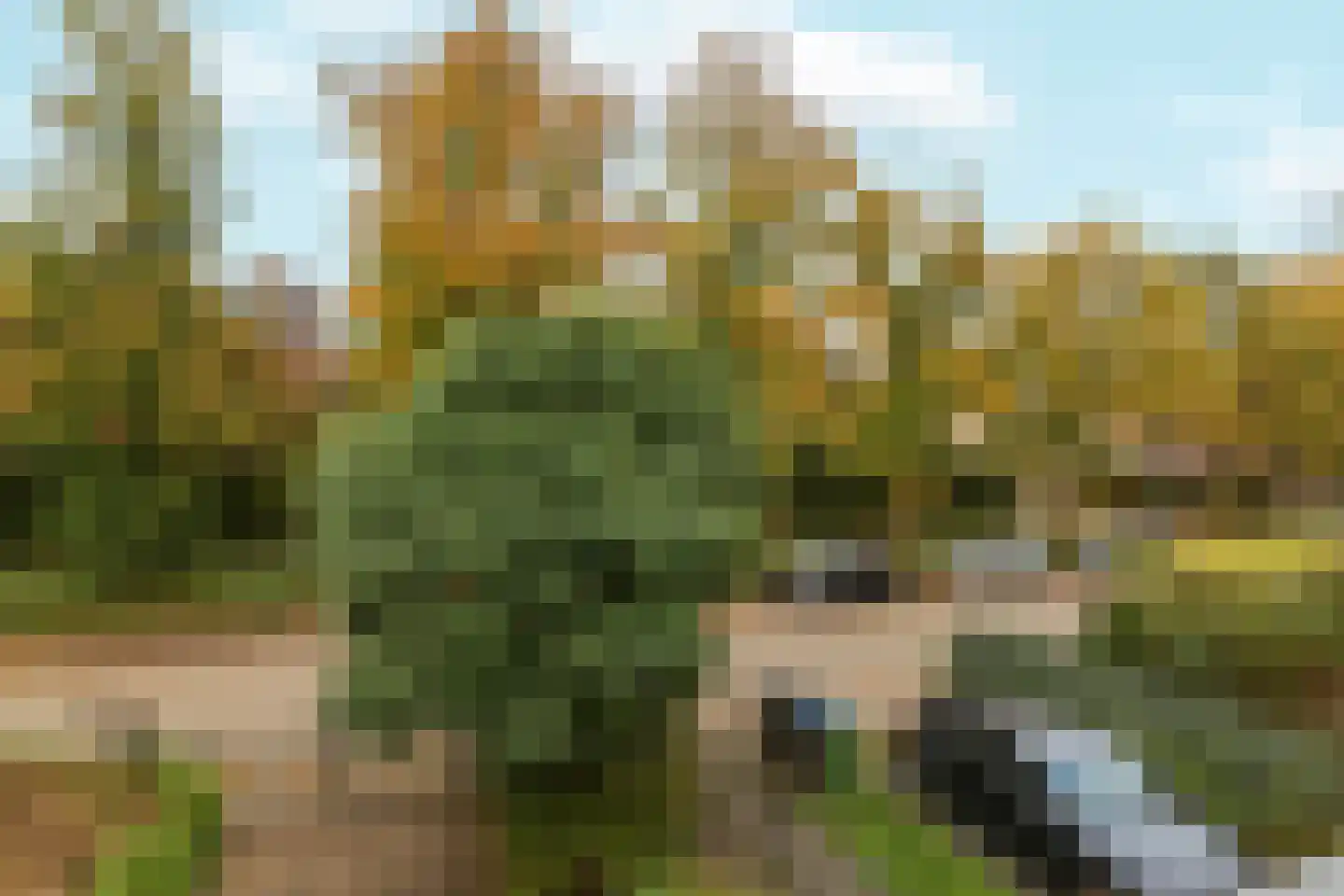 Vijverlaan 39 Arnhem thumbnail 19