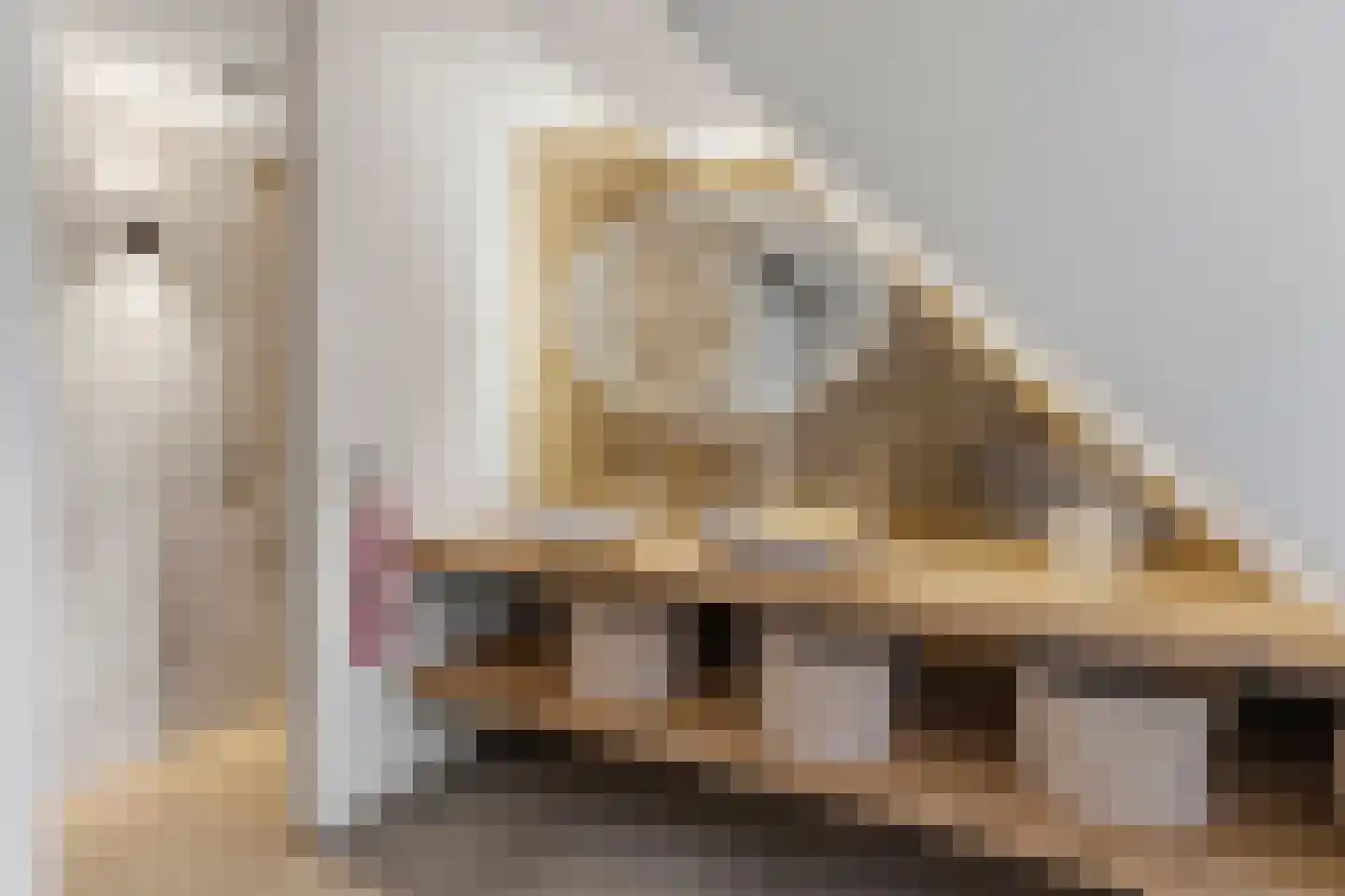 Vijverlaan 39 Arnhem thumbnail 23