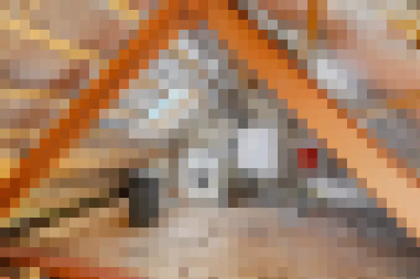 Vijverlaan 39 Arnhem thumbnail 26