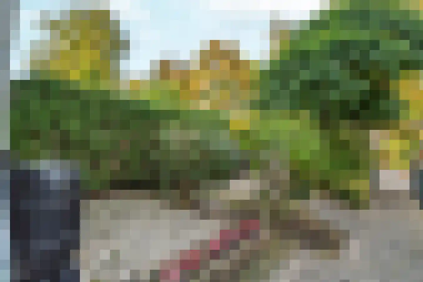 Vijverlaan 39 Arnhem thumbnail 31