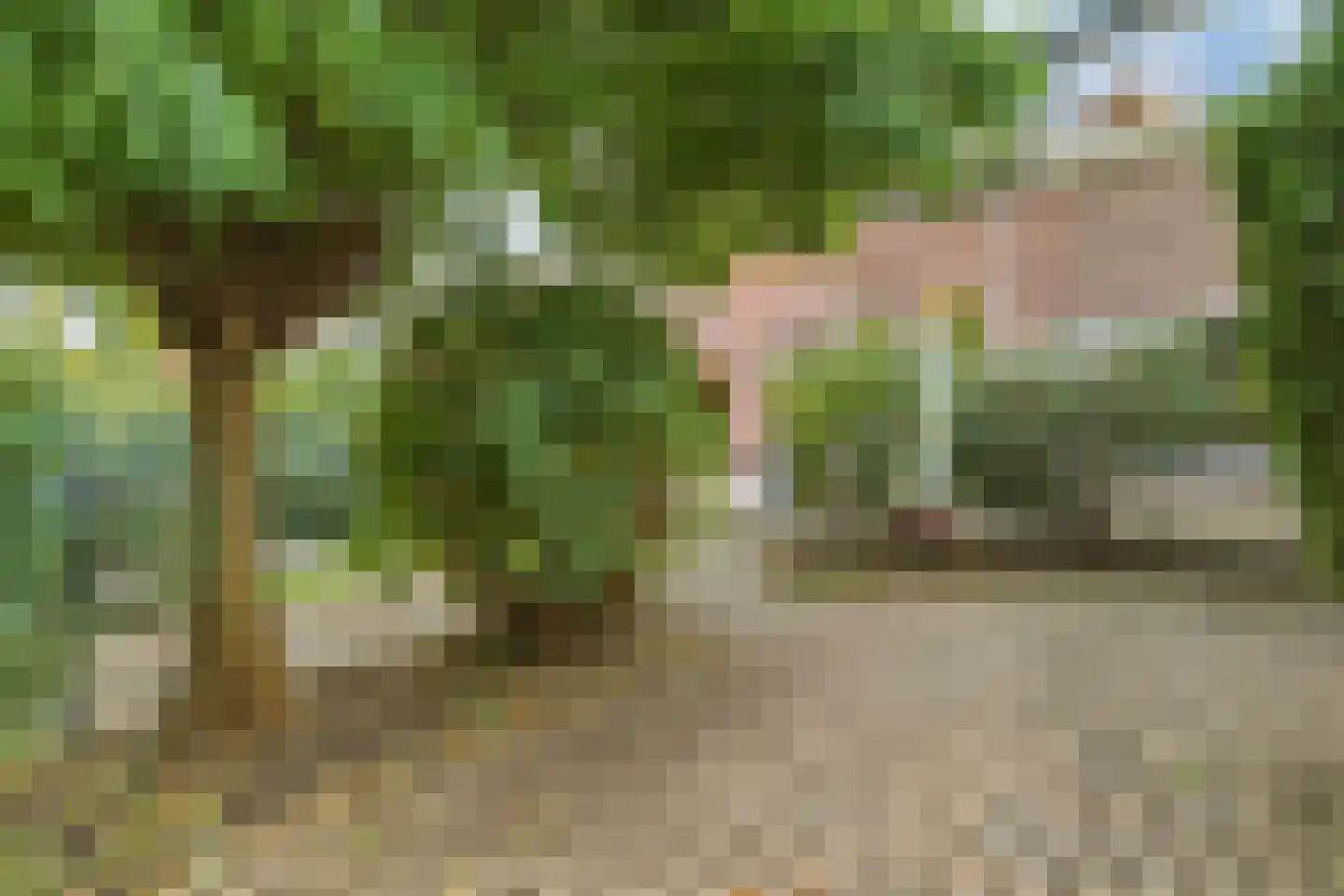 Vijverlaan 39 Arnhem thumbnail 32