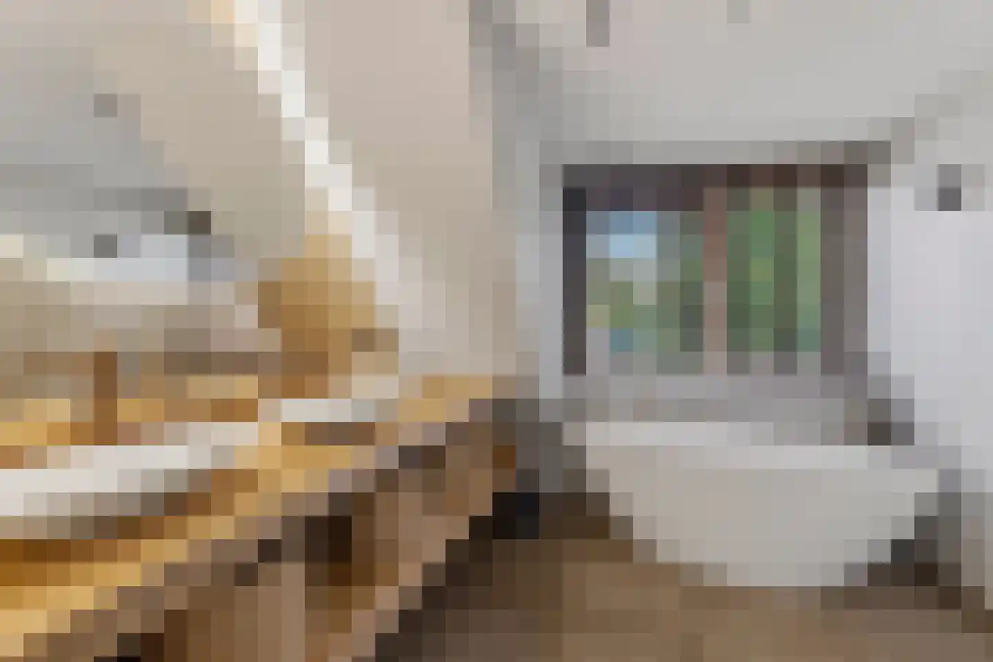 Vijverlaan 39 Arnhem thumbnail 4