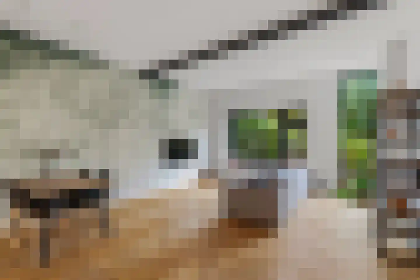 Vijverlaan 39 Arnhem thumbnail 8