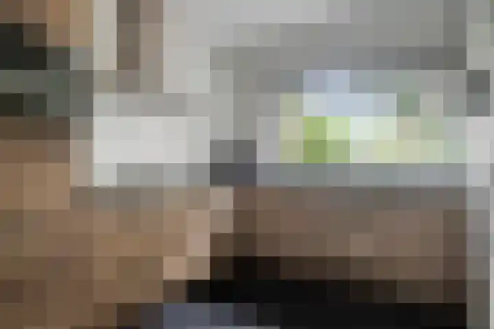 Vijverlaan 39 Horst thumbnail 15