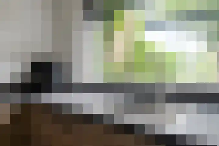Vijverlaan 39 Horst thumbnail 17