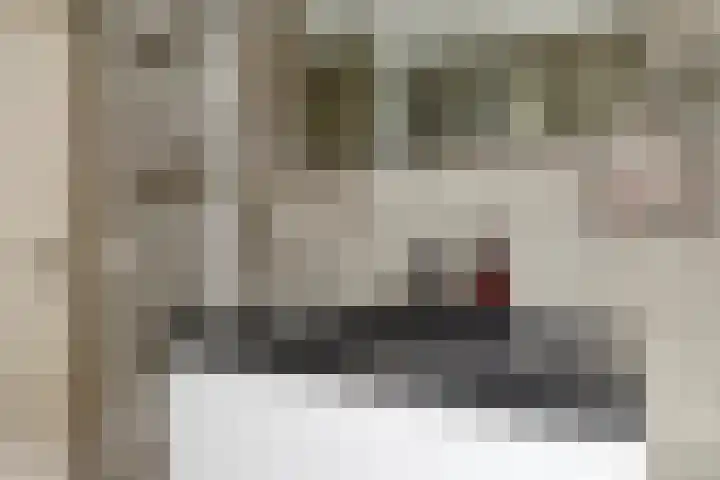Vijverlaan 39 Horst thumbnail 27