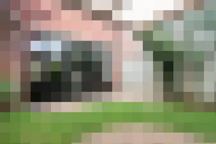 Vijverlaan 39 Horst thumbnail 35