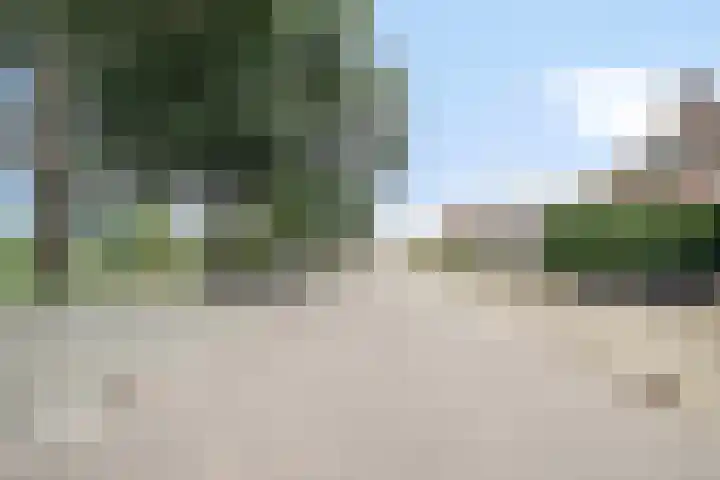 Vijverlaan 39 Horst thumbnail 38
